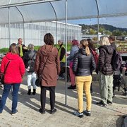 Adrian Huber, der Inhaber von Huplant, gibt vor einem Gewächshaus Erklärungen ab